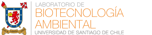 Inicio